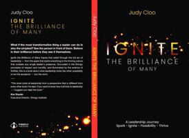 Ignite the Brilliance of Many: A Leadership Journey B0H56KHYS4 Book Cover