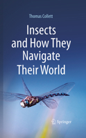 Insects and How They Navigate Their World 3032230764 Book Cover