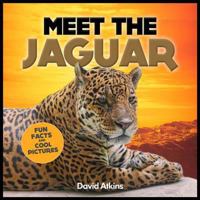 Meet the Jaguar: Fun Facts & Cool Pictures 1495356477 Book Cover