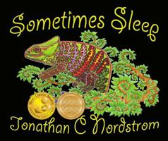 Sometimes Sleep 0986243760 Book Cover