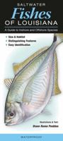 Saltwater Fishes of Louisiana: A Guide to Inshore & Offshore Species 1936913445 Book Cover
