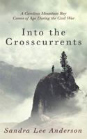 Into the Crosscurrents: A Carolina Mountain Boy Comes of Age During the Civil War 1947018221 Book Cover