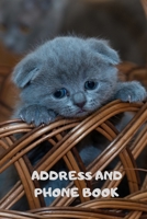 Address and Phone Book: (with discreet password journal section) Adorable Kitten in a Basket Book, Cat Lover Gift. Organized in Alphabetical Order, ... month by month birthday/anniversary section. 1699444153 Book Cover