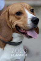 Beagle Planner: 2020 diary: Increase productivity, improve time management, reach your goals: Happy tricolor beagle dog cover 1691186260 Book Cover