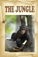 The Jungle: Visit the animals that live in a jungle. B08L3Q69TB Book Cover