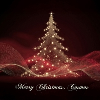 Merry Christmas, Cosmos: A Holiday Book for Evolutionaries B0FJMC9DGM Book Cover