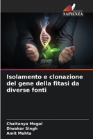Isolamento e clonazione del gene della fitasi da diverse fonti (Italian Edition) 6209273939 Book Cover
