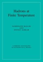 Hadrons at Finite Temperature 1107145317 Book Cover