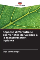 Réponse différentielle des variétés de Cajanus à la transformation Inplanta (French Edition) 6208035554 Book Cover