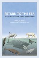 Return to the Sea: The Life and Evolutionary Times of Marine Mammals 0520270576 Book Cover