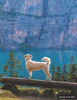 Agenda anual 2020: Agenda anual para 2020, 12 meses, agenda de 52 semanas  con tareas y metas; formato A4+; motivo: Bergsee mit Hund (Spanish Edition) 1698516053 Book Cover