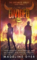 Divided 0995719144 Book Cover