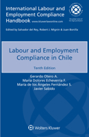 Labour and Employment Compliance in China 9403504005 Book Cover