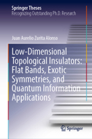 Low-Dimensional Topological Insulators: Flat Bands, Exotic Symmetries, and Quantum Information Applications (Springer Theses) 3032388597 Book Cover