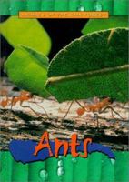 Ants 0739830988 Book Cover