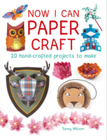 Now I Can Paper Craft: 20 Hand-Crafted Projects to Make 1784942448 Book Cover