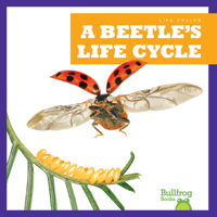 A Beetle's Life Cycle 1636908209 Book Cover