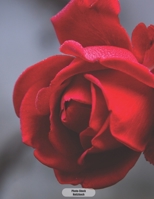 Photo-Stock Notizbuch: Rote Rose im Nebel Notizbuch 150 Seiten liniert - A4 Format - mattes Softcover 1696714958 Book Cover