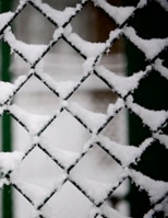 Night Love: Nmm 1387454161 Book Cover