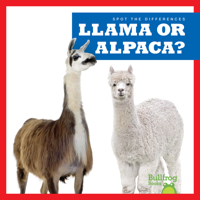 Llama or Alpaca? B0BGN5ZKW6 Book Cover