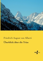 Überblick über die Trias 3737218099 Book Cover