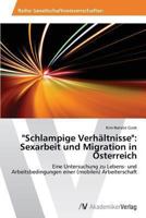 "Schlampige Verhaltnisse": Sexarbeit Und Migration in Osterreich 3639490827 Book Cover
