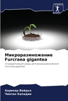 ???????????????? Furcraea gigantea (Russian Edition) 6207851692 Book Cover