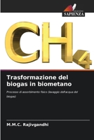 Trasformazione del biogas in biometano (Italian Edition) 6200450781 Book Cover