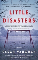 Little Disasters 1501172220 Book Cover