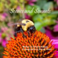 Scenes and Sonnets B0DJDQD83Z Book Cover