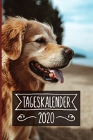 Tageskalender 2020: Terminkalender ca DIN A5 weiß über 370 Seiten I 1 Tag eine Seite I Jahreskalender I Golden Retriever I Hunde 1702083241 Book Cover