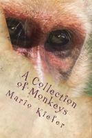 A Collection of Monkeys 0692151850 Book Cover