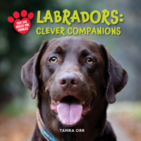 Labrador Retrievers: Clever Companions (Best Dog Breeds for Families) B0F749TY4H Book Cover