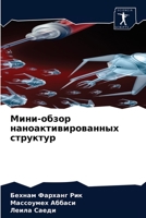 Мини-обзор наноактивированных структур 620408433X Book Cover