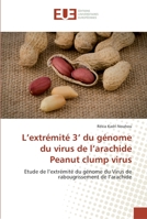 L extrémité 3 du génome du virus de l arachide peanut clump virus 6131558140 Book Cover
