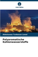 Polyaromatische Kohlenwasserstoffe (German Edition) 3330501987 Book Cover
