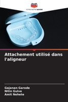 Accessorio utilizzato nell'allineatore (Italian Edition) 6207648390 Book Cover