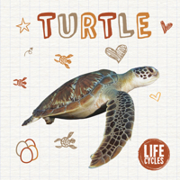 Turtle 1786373793 Book Cover