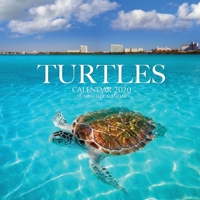 Turtles Calendar 2020: 16 Month Calendar 1704613264 Book Cover