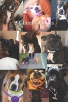 A Glitter Of Miles B0BVPB6N48 Book Cover