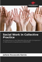 Social Work in Collective Practice 6207405722 Book Cover