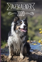 Tageskalender 2020: Terminkalender ca DIN A5 weiß über 370 Seiten I 1 Tag eine Seite I Jahreskalender I Border Collie I Hunde 1702075613 Book Cover