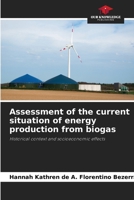Assessment of the current situation of energy production from biogas 6209498450 Book Cover