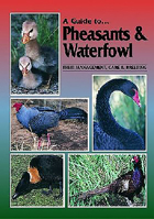 A Guide to Pheasants & Waterfowl: Their Management, Care & Breeding 0958710236 Book Cover