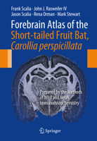 Forebrain Atlas of the Short-Tailed Fruit Bat, Carollia Perspicillata: Prepared by the Methods of Nissl and Neun Immunohistochemistry 1461470870 Book Cover