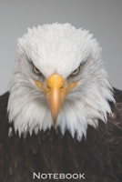 Eagle Journal & Notebook: 6x9 Lined Ruled Composition Notebook & Journal - Perfect for Writing School College etc. - Eagle Journal for Women Men Teens Girls Kids vol. 2 1660183006 Book Cover