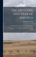 The Antelope And Deer Of America 1014978440 Book Cover