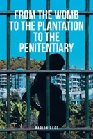 From the Womb to the Plantation to the Penitentiary B0CT9PY1W9 Book Cover