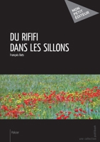 Du rififi dans les sillons (French Edition) 2342023731 Book Cover