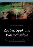 Zauber, Spuk und Wasserfräulein: Sagen aus dem Kleinen Odenwald, Eberbach, Hirschhorn und Neckargemünd 3757860411 Book Cover
